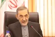 ولایتی: آمریکا فقط با جمهوری اسلامی مشکل ندارد؛ بلکه با خود ملت ایران مشکل دارد