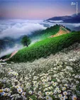 تکه‌ای از بهشت در گیلان+عکس