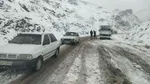 بارش برف و باران در این نقاط| هشدار به کوهنوردان