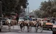 عکسی از قم در سال هزار و سیصد و پنجاه و هفت