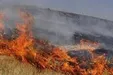 جنگل‌های توسکستان گرگان همچنان می‌سوزد +فیلم