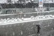 ببینید| بارش برف در تهران