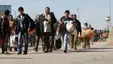 آمار جدید مهاجران افغان در ایران