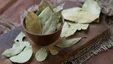 گیاهی که یک تنه سرما خوردگی و آنفلوانزا را حریف است