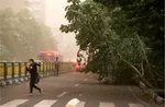 طوفان تهران مصدوم داد