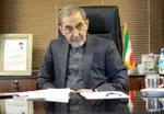 ولایتی: آمریکا اگر اشتباهاتش را تکرار کند، جریان انرژی با یک اشاره مختل می‌شود