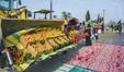 تصویر جالب از پذیرایی زائران حسینی (ع)