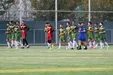 انگار نه انگار امروز مقدماتی جام‌جهانی است!