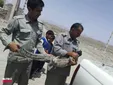 زنده گیری یک تمساح در روستای کریم آباد+ عکس