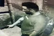 ببینید| سرقت مسلحانه از زن مسافر در شمال تهران