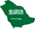 عربستان برای گردآوری اطلاعات از تروریست‌ها، از شهروندان خود کمک خواست