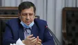 همتی: آثار تورمی جراحی اقتصادی در خرداد و تیر نمایان خواهد شد