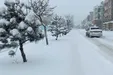 ببینید| هم‌اکنون بارش شدید برف در زنجان