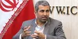 پورابراهیمی: مجلس از جزئیات طرح گشایش اقتصادی رئیس‌جمهور اطلاع دقیقی ندارد