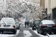 پیش‌بینی وضعیت جوی تا آخر هفته / بارش برف و باران فردا در این استان‌های کشور/ یک سامانه بارشی جدید در راه است