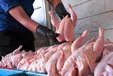 مشکلات کامیون‌داران توزیع مرغ را مختل کرده است