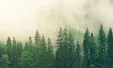 راز چگونگی تغییر طبیعت اروپا کشف شد