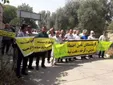 کارگران در زمان بازنشستگی کارمند حساب می‌شوند اما کمتر کارگران شاغل مستمری می‌گیرند