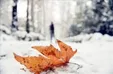 شمیران زیر بارش نخستین برف پاییز ۵۰ سال پیش +عکس