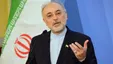 حرکات موزون رئیس سازمان انرژی اتمی سوژه فضای مجازی شد +فیلم