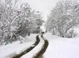 بارش سنگین برف در اراک؛ سفیدپوشی شهر +فیلم