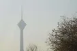 شاهد بادهایی با سرعت زیاد و گرد و غبار غلیظ در تهران هستیم/ کاشت درخت به جای مالچ پاشی