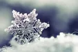 فیلم / بارش شدید برف در بیابان‌های عربستان