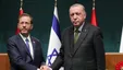 تشکر رئیس اسرائیل از اردوغان بابت خنثی سازی تهدیدهای ایران علیه اسرائیل/ هرتزوگ: تهدید پایان نیافته است