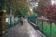 بارندگی در تهران تا کی ادامه دارد؟