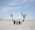 ماجرا از سدسازی افغانستان در دهه پنجاه میلادی آغاز شد / قطع آب هیرمند، نفس هامون را گرفت / ماهیگیری تعطیل شد و صد شهر زیر خاک مدفون شدند