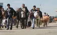 سازمان بین المللی مهاجرت: بیش از یک میلیون مهاجر افغان از ایران به کشورشان بازگشته‌اند
