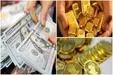 بازار ارز و طلا رکورد زد؛ سیاست جدید دولت هنوز اثرگذار نشد