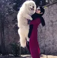 سگ عجیب مریم معصومی + عکس