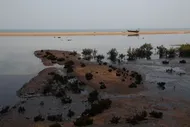 ببینید| تصاویر جدید از آلودگی نفتی سواحل قشم به روایت یک غواص