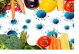 رژیم غذایی مناسب در زمان واکسیناسیون کرونا