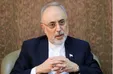 ببینید| روایت مهم صالحی از فرصت سوزی بزرگ جلیلی در مذاکرات