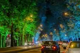 اقدام برای ثبت جهانی خیابان ولیعصر/ درختکاری در اراضی جنوبی البرز