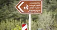چرای گوسفندان در یکی از بوستان های تهران/ شهرداری: چرای دام مانع حریق در پارک می شود