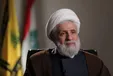 نعیم قاسم: از ایران به خاطر توجهش به لبنان و مردمش تشکر می‌کنیم