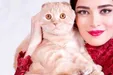 یک گربه، عامل توقیف «عشق روزهای کرونا»!+فیلم