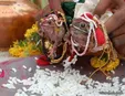 مراسمی عجیب؛ جشن ازدواج قورباغه‌ها! +فیلم