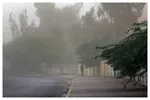 هشدار هواشناسی؛ رگبار، رعدوبرق و وزش باد شدید در نقاط مختلف کشور