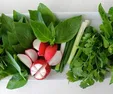 اشتباه اکثر خانم‌ها در شستشوی سبزیجات