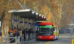 اتوبوس و مترو فعلا رایگان است + توضیحات زاکانی