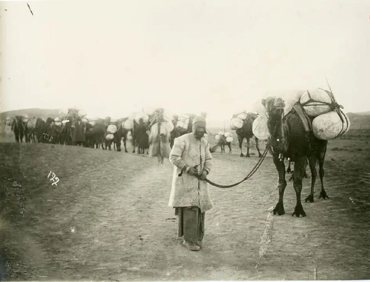 عبور کاروان تنباکو