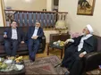 کرباسچی بعد از ۱۰سال با کروبی دیدار کرد