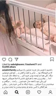 آرامش نبات استخری در خانه گرم و نرمشان+عکس