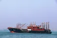 وجود پنج هزار شناور غیرمجاز در خلیج‌فارس صحت ندارد/ اسبک ماهی حرام گوشت صادر می شود