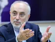 صالحی: همه ما در کنار عراقچی سرباز ایران خواهیم ماند