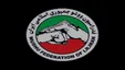 فدراسیون ووشو از خواهران منصوریان شکایت کرد